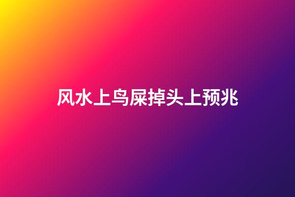 风水上鸟屎掉头上预兆