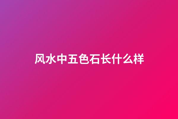 风水中五色石长什么样