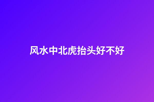 风水中北虎抬头好不好