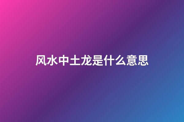 风水中土龙是什么意思