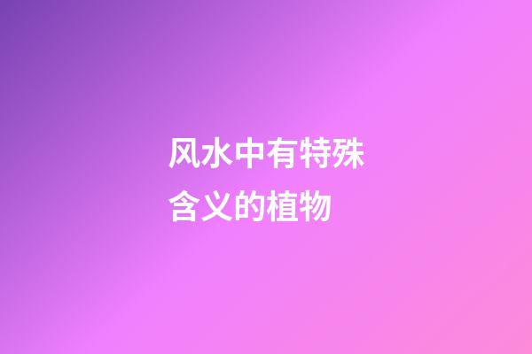 风水中有特殊含义的植物