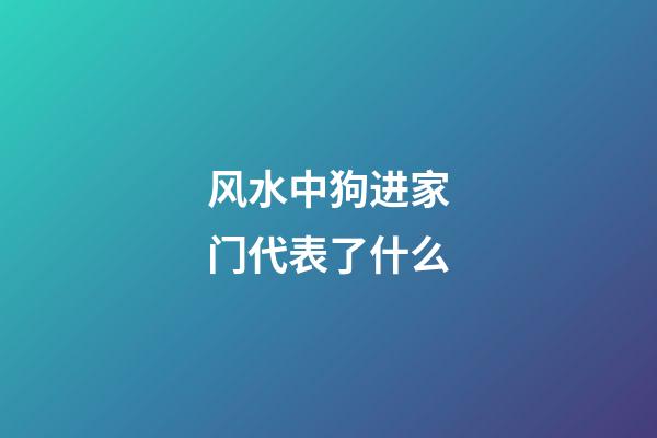 风水中狗进家门代表了什么