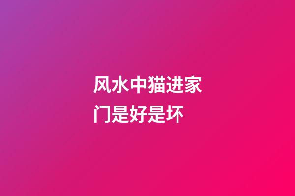 风水中猫进家门是好是坏