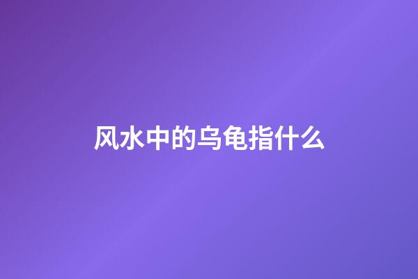 风水中的乌龟指什么