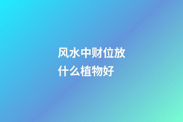 风水中财位放什么植物好