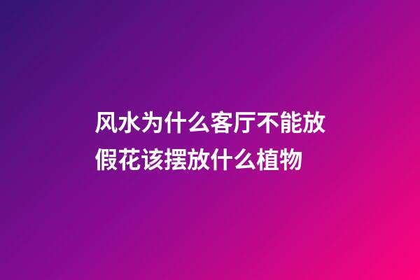 风水为什么客厅不能放假花该摆放什么植物