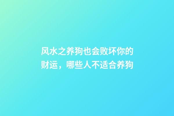 风水之养狗也会败坏你的财运，哪些人不适合养狗
