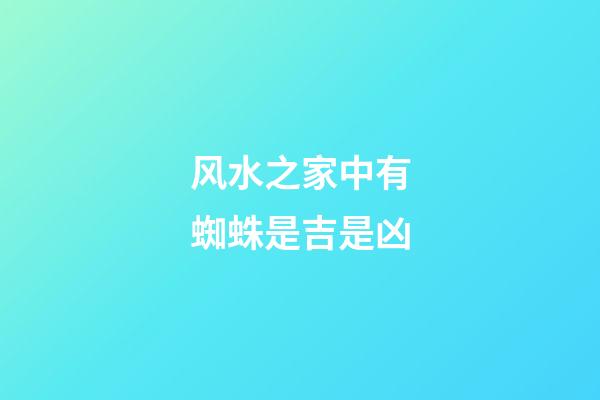 风水之家中有蜘蛛是吉是凶