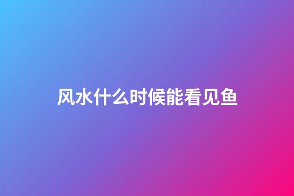 风水什么时候能看见鱼
