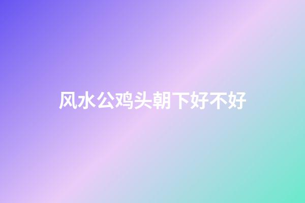 风水公鸡头朝下好不好
