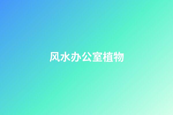 风水办公室植物