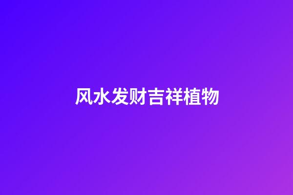 风水发财吉祥植物