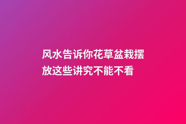 风水告诉你花草盆栽摆放这些讲究不能不看