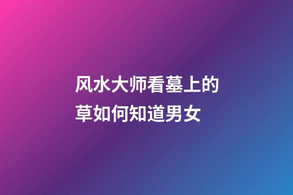 风水大师看墓上的草如何知道男女