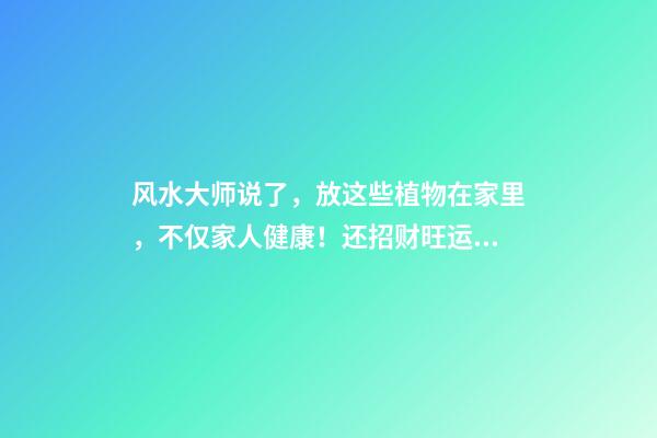 风水大师说了，放这些植物在家里，不仅家人健康！还招财旺运！