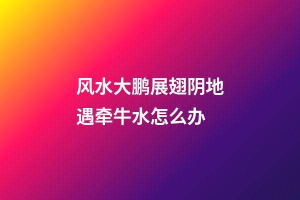 风水大鹏展翅阴地遇牵牛水怎么办