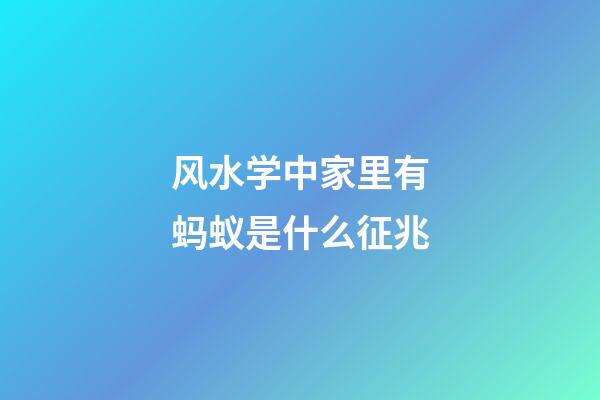 风水学中家里有蚂蚁是什么征兆