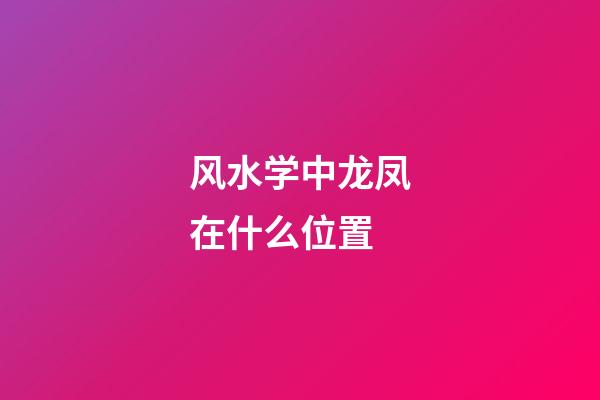 风水学中龙凤在什么位置