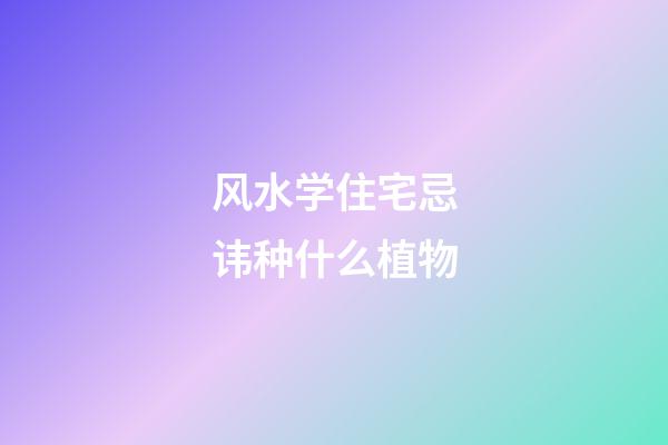 风水学住宅忌讳种什么植物