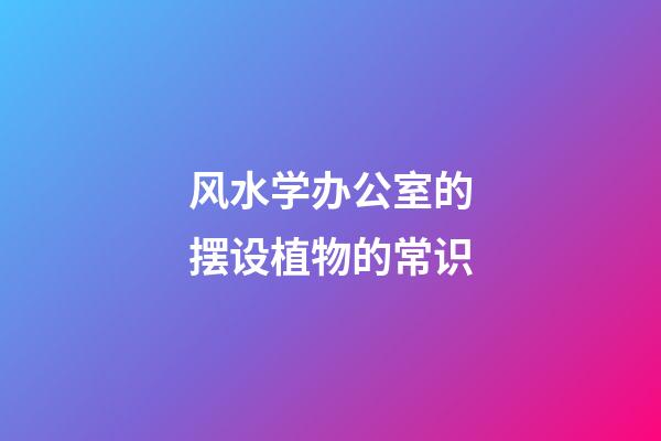 风水学办公室的摆设植物的常识