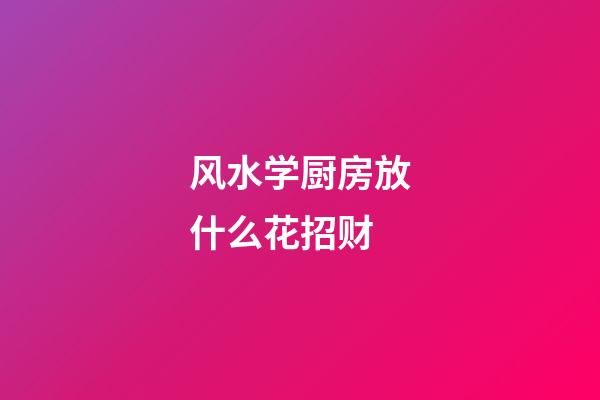 风水学厨房放什么花招财