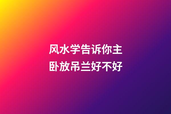 风水学告诉你主卧放吊兰好不好