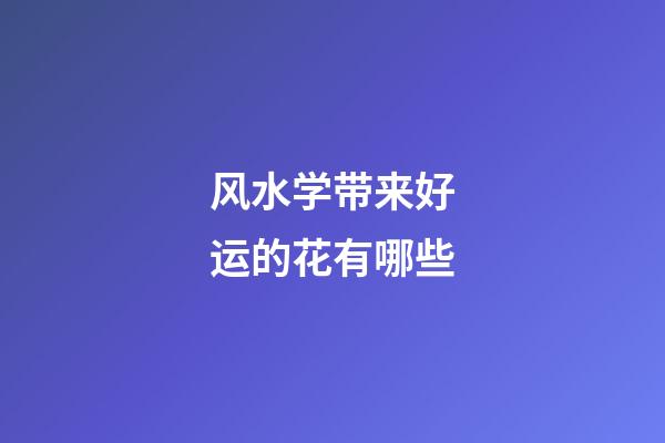 风水学带来好运的花有哪些