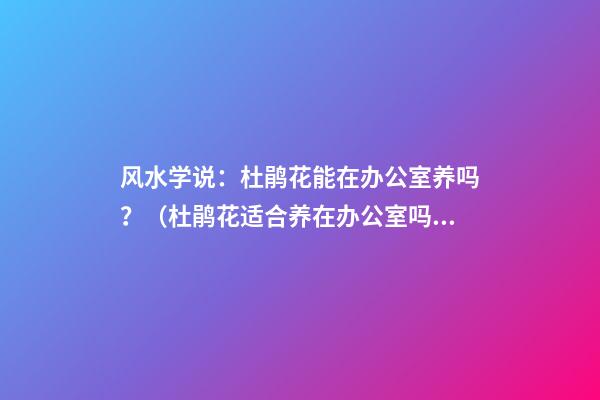 风水学说：杜鹃花能在办公室养吗？（杜鹃花适合养在办公室吗）