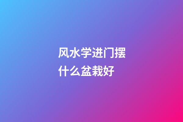 风水学进门摆什么盆栽好