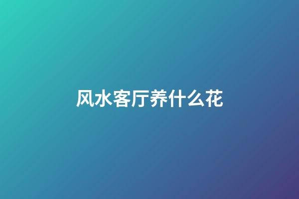 风水客厅养什么花