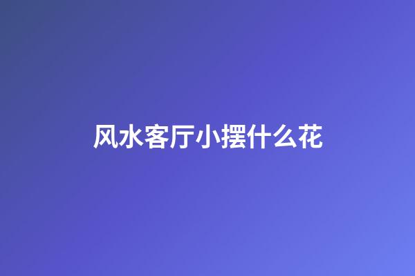 风水客厅小摆什么花