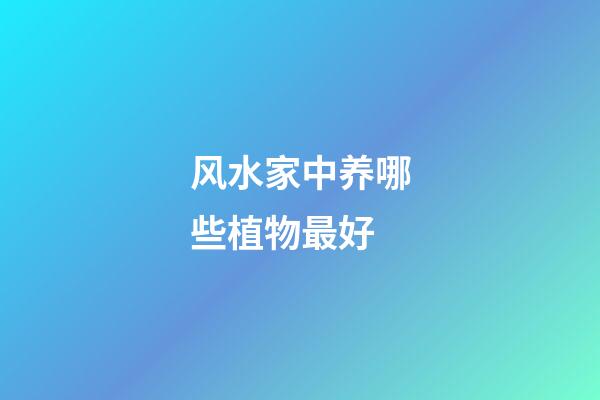 风水家中养哪些植物最好