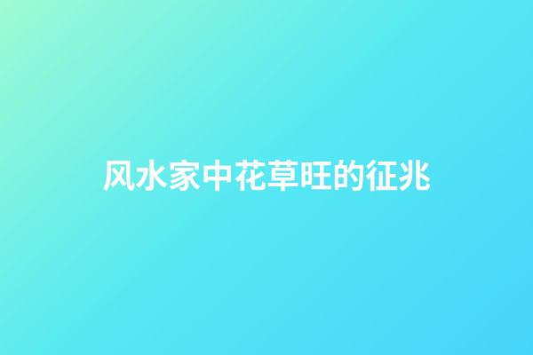 风水家中花草旺的征兆