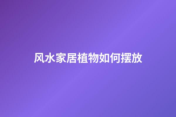 风水家居植物如何摆放