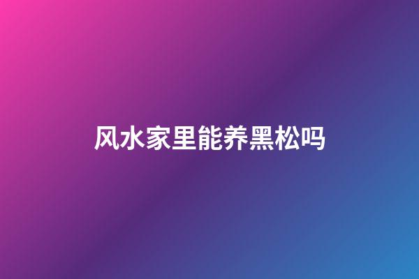 风水家里能养黑松吗