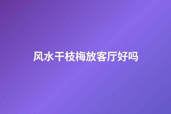 风水干枝梅放客厅好吗