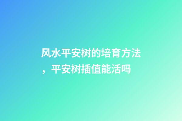 风水平安树的培育方法，平安树插值能活吗