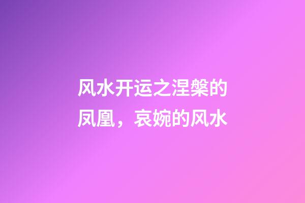 风水开运之涅槃的凤凰，哀婉的风水