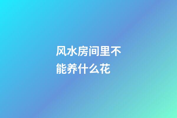 风水房间里不能养什么花