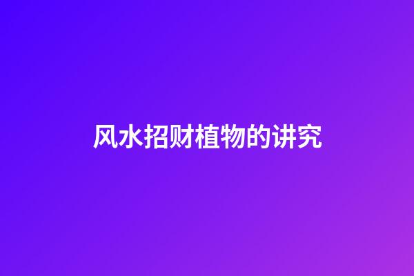 风水招财植物的讲究