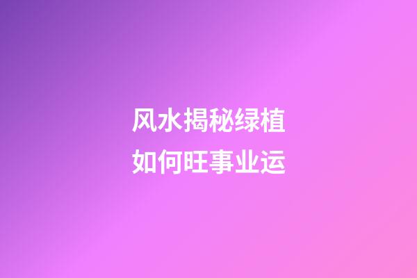 风水揭秘绿植如何旺事业运