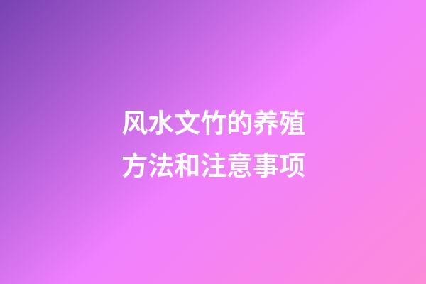 风水文竹的养殖方法和注意事项