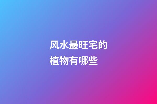 风水最旺宅的植物有哪些