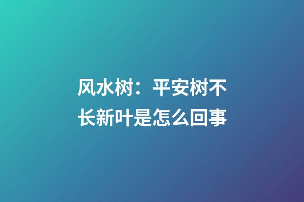 风水树：平安树不长新叶是怎么回事