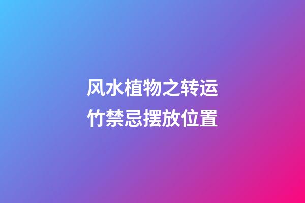 风水植物之转运竹禁忌摆放位置