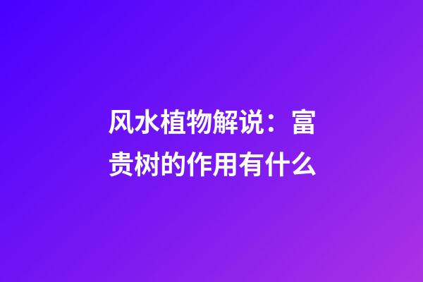 风水植物解说：富贵树的作用有什么