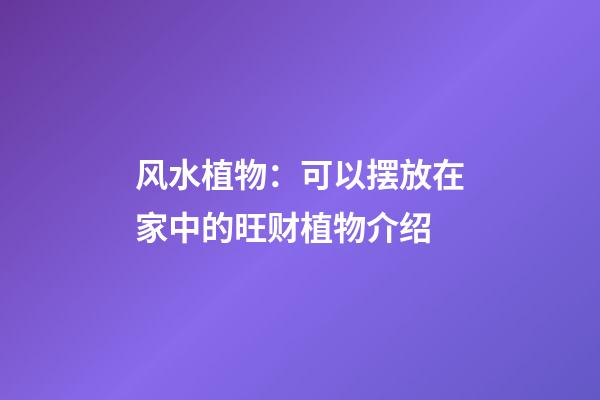 风水植物：可以摆放在家中的旺财植物介绍