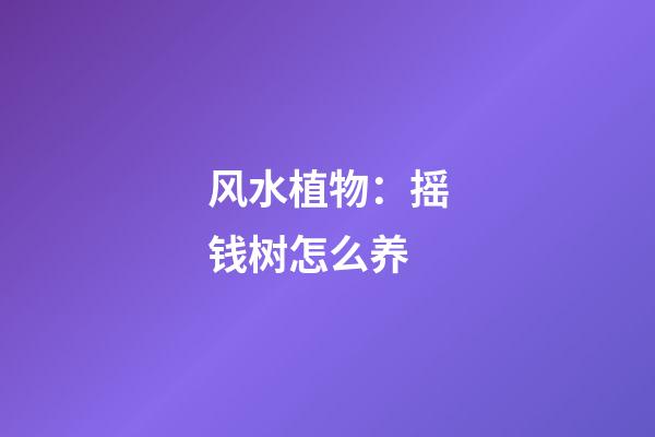 风水植物：摇钱树怎么养