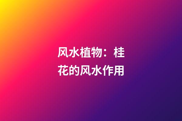 风水植物：桂花的风水作用