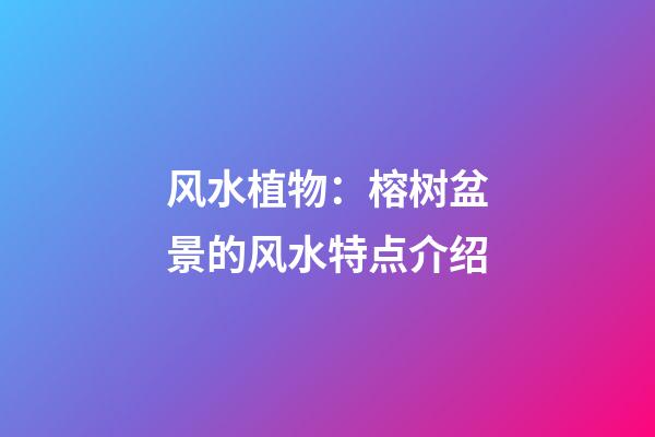 风水植物：榕树盆景的风水特点介绍